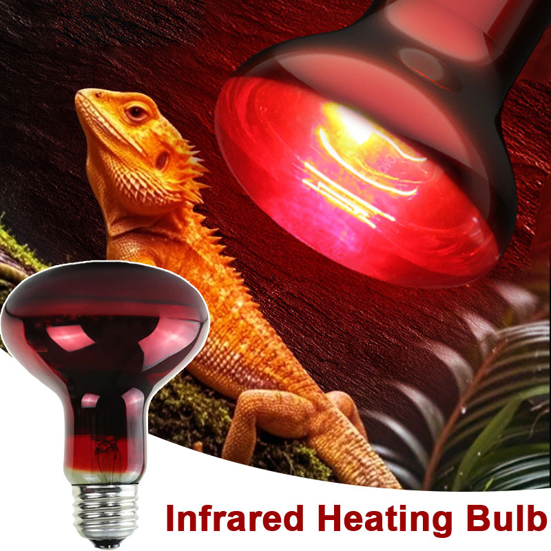Инфракрасная лампа для рептили – обзор и цена Gecko Lighting & Decor
