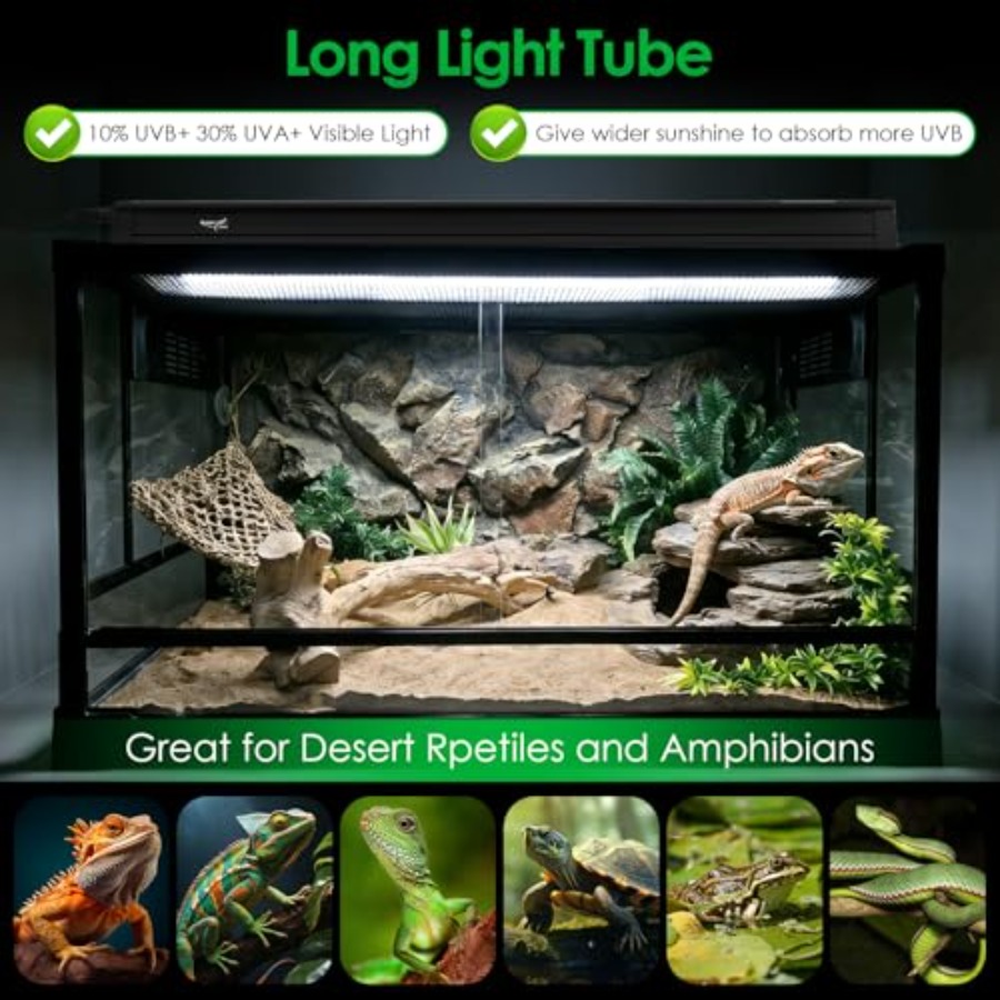 Комплект освещения для террари – обзор и цена Gecko Lighting & Decor