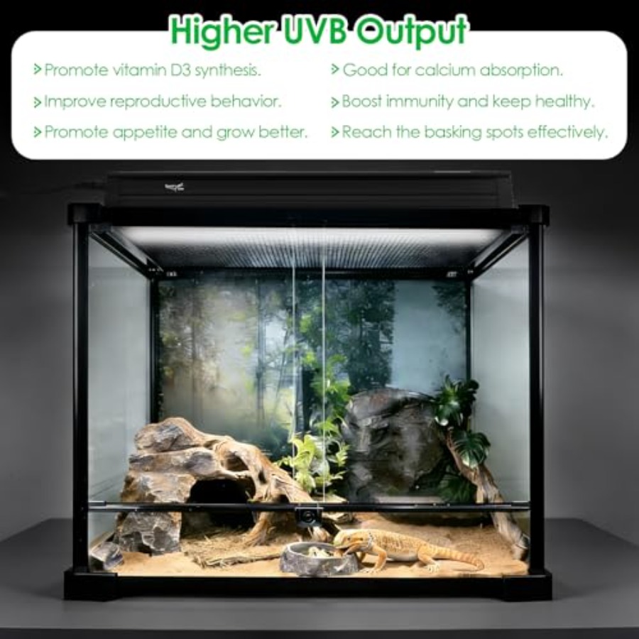 Комплект освещения для террари – обзор и цена Gecko Lighting & Decor
