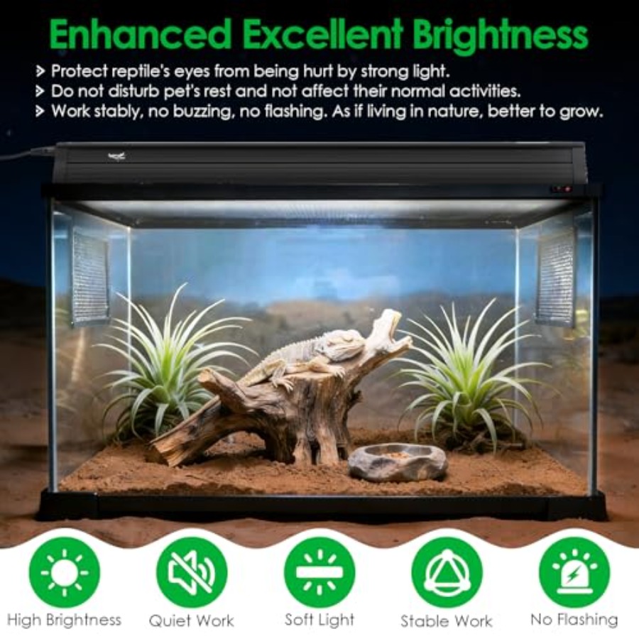 Комплект освещения для террари – обзор и цена Gecko Lighting & Decor