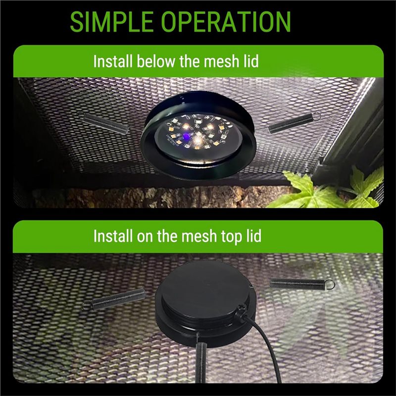 【ORNAMENT】Светодиодная лампа п – обзор и цена Gecko Lighting & Decor